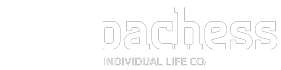 Coachess Logo
